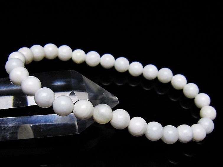 シャコガイ ブレスレット 6mm [t217-1630] 1枚目