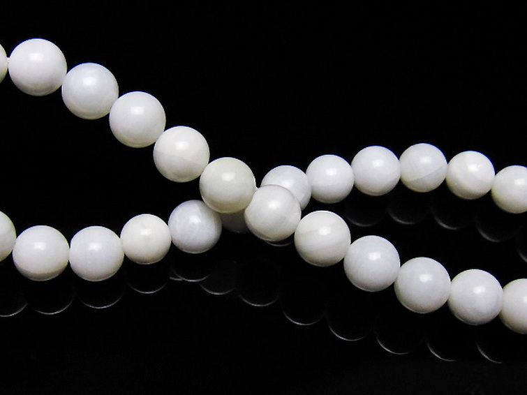 シャコガイ ブレスレット 6mm [t217-1630] 2枚目