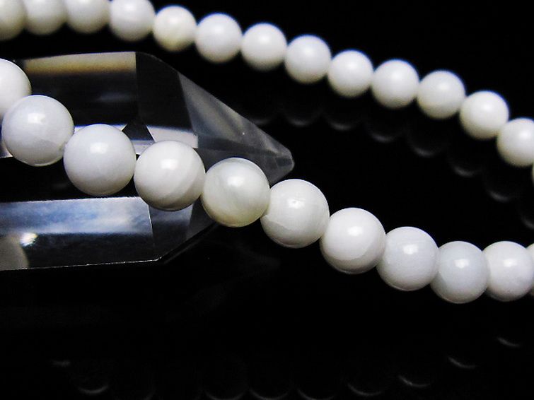 シャコガイ ブレスレット 6mm [t217-1630] 3枚目