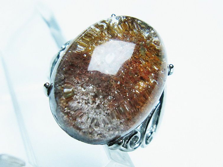 ガーデン （庭園） 水晶 指輪 リング(16号)[T272-3215] 2枚目