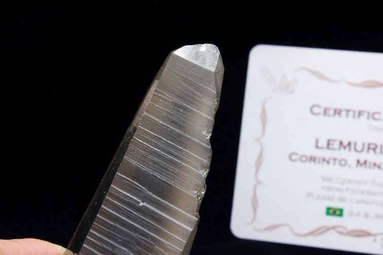 シトリン レムリアンシード水晶 ダブルポイント 原石 ミナスジェライス州コリント産 ※証明書付き[T370-4152] 1枚目