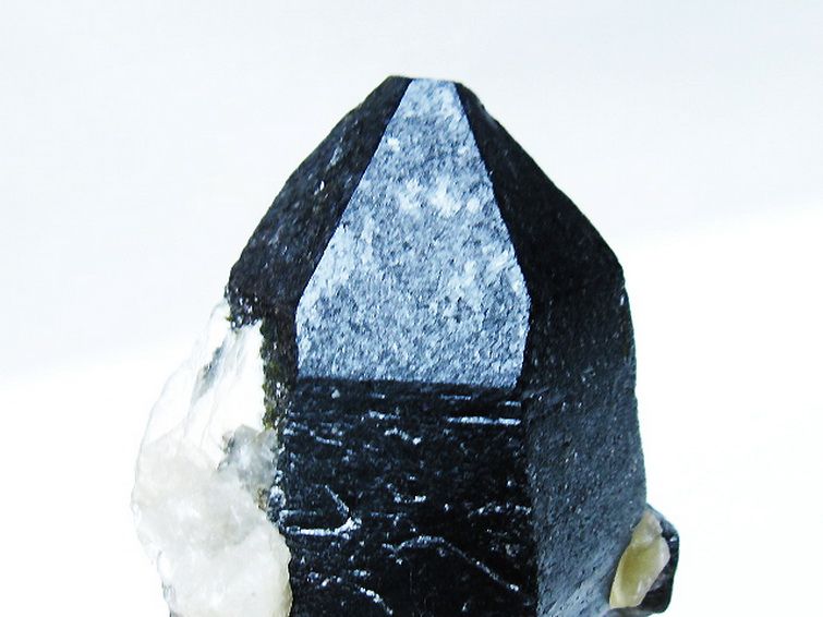 山東省産 モリオン 純天然 黒水晶 原石 [t460-7019] 3枚目