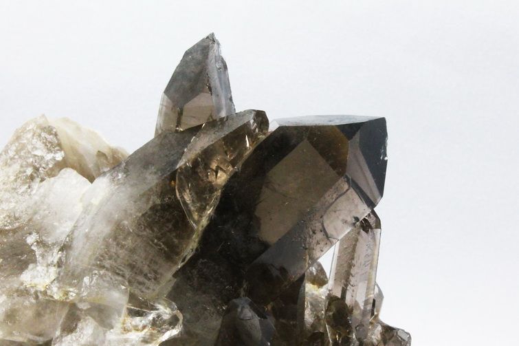ブラジル産 モリオン 純天然 黒水晶 クラスター[T618-7069] 3枚目