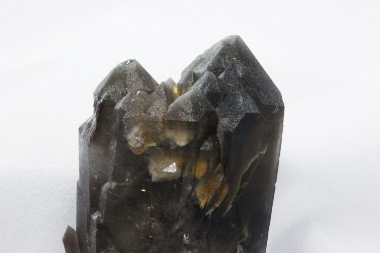 ブラジル産 モリオン 純天然 黒水晶 クラスター[T618-7086] 3枚目