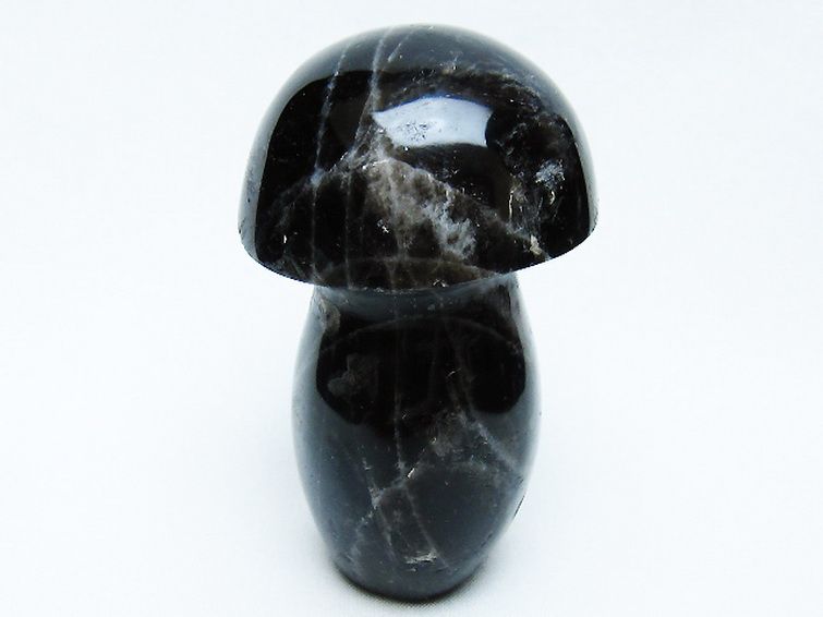モリオン 純天然 黒水晶 きのこ 置物[T653-4310] 3枚目