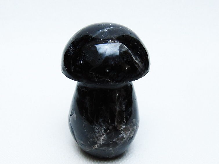 モリオン 純天然 黒水晶 きのこ 置物 [t653-4485] 3枚目