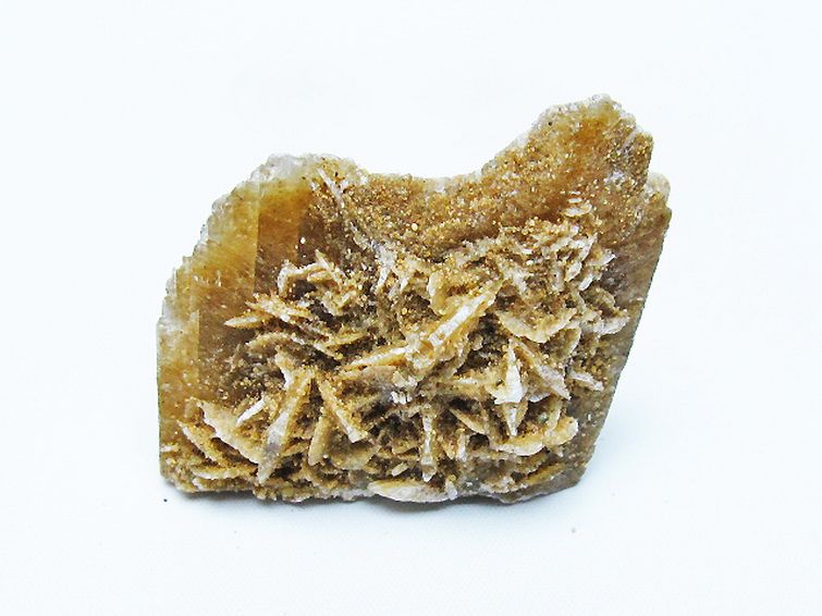 デザートローズ 原石 [t677-2156] 1枚目