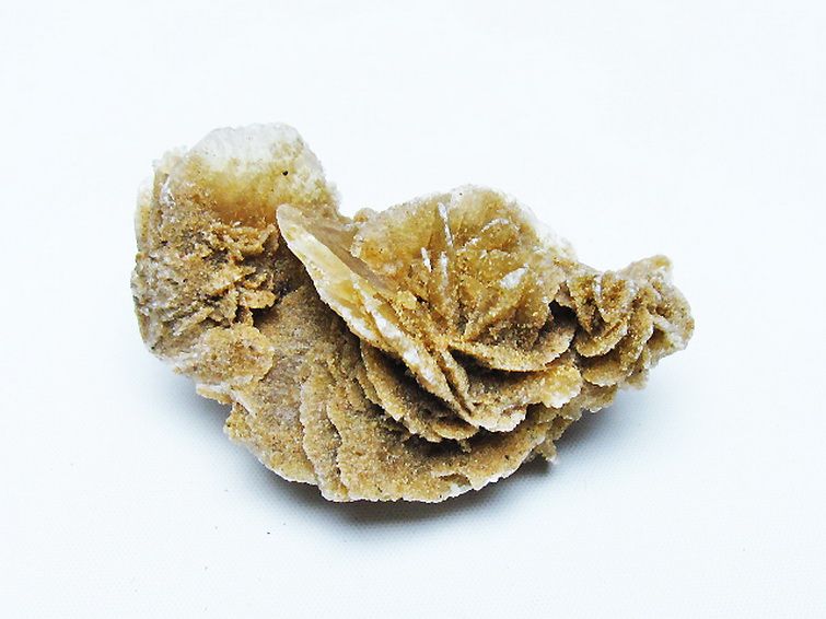 デザートローズ 原石 [t677-2244] 1枚目