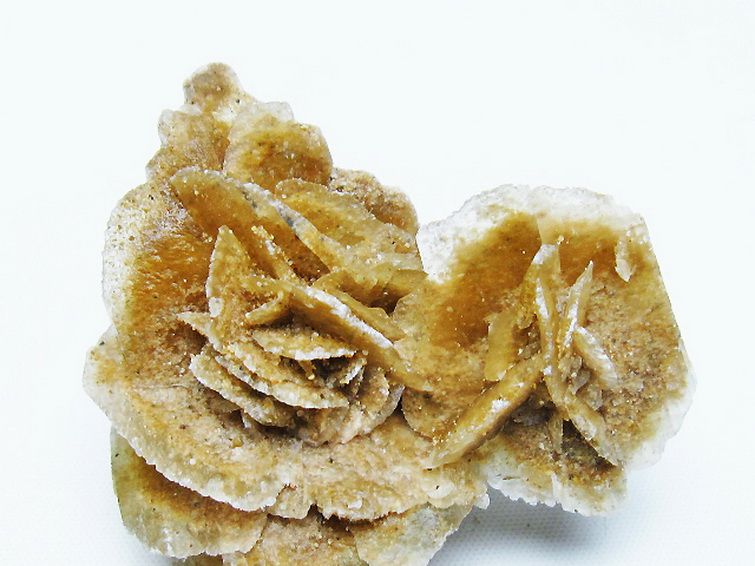 デザートローズ 原石 [t677-2249] 2枚目