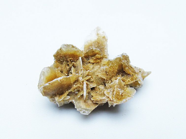 デザートローズ 原石 [t677-2255] 1枚目