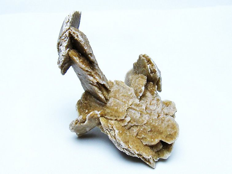 デザートローズ 原石 [t677-2273] 1枚目