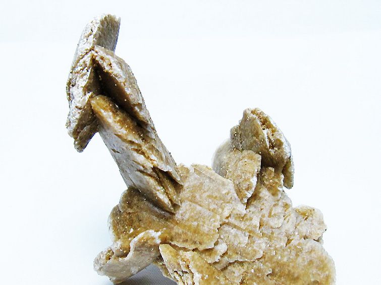 デザートローズ 原石 [t677-2273] 2枚目