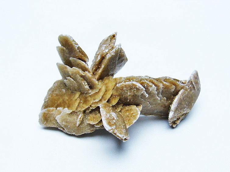 デザートローズ 原石 [t677-2273] 3枚目