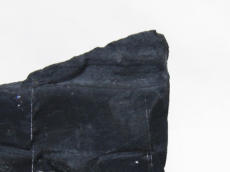 北海道上ノ国町産 ブラックシリカ 原石 [t694-5296] 2枚目