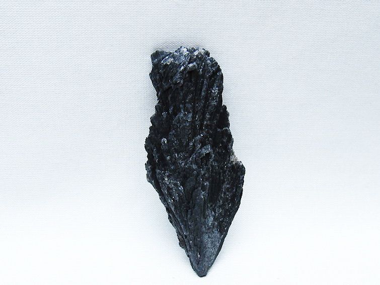 ブラック カイヤナイト 原石 [t697-4356] 3枚目