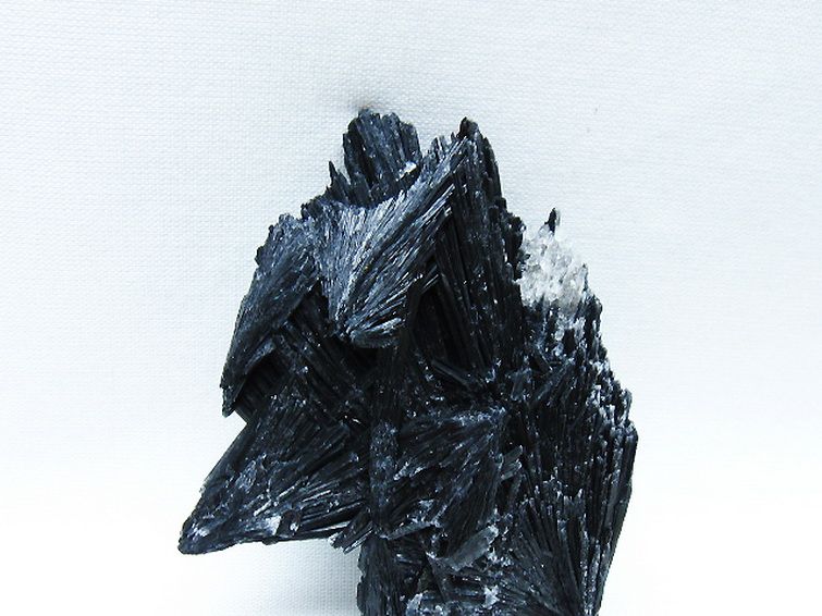 ブラック カイヤナイト 原石 [t697-4401] 2枚目