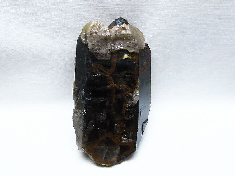 モリオン 純天然 黒水晶 原石 [t735-4371] 1枚目