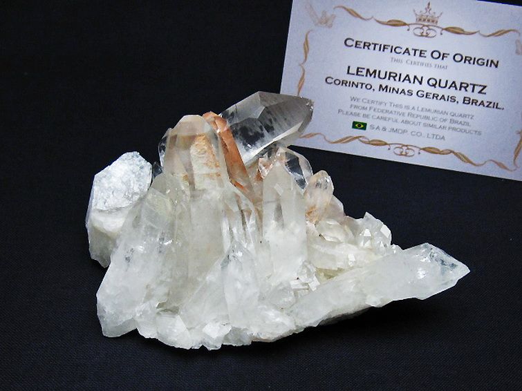 レムリアンシード 水晶 クラスター ミナスジェライス州コリント産  ※証明書付き[T759-1336] 1枚目