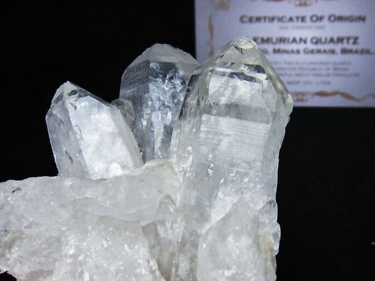 レムリアンシード 水晶 クラスター ミナスジェライス州コリント産  ※証明書付き[T759-1351] 3枚目