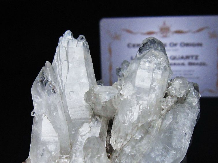 レムリアンシード 水晶 クラスター ミナスジェライス州コリント産  ※証明書付き[T759-1355] 3枚目