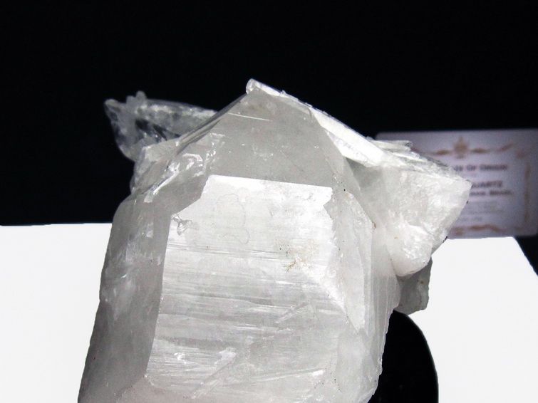 レムリアンシード水晶クラスター ミナスジェライス州コリント産 ※証明書付き[T760-3346] 3枚目