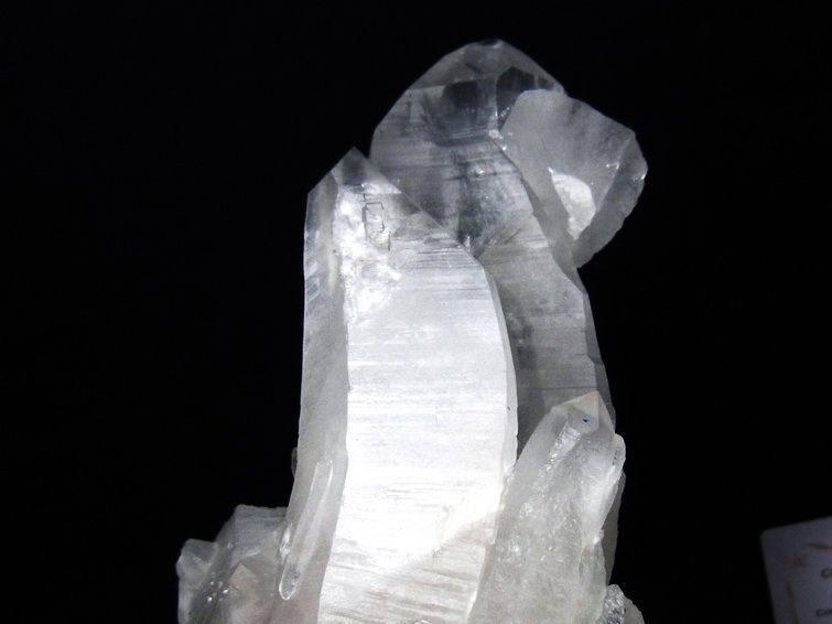 1.6Kg レムリアンシード水晶クラスター ミナスジェライス州コリント産 ※証明書付き[T760-3385] 3枚目