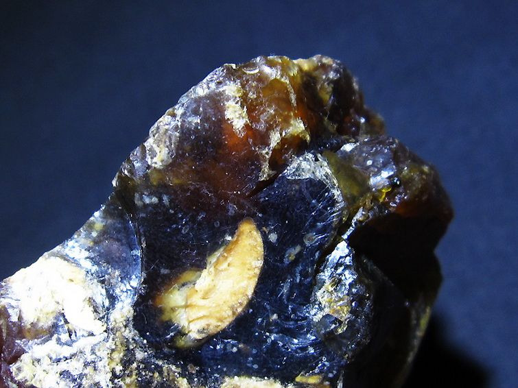 アンバー 琥珀 原石[T800-1799] 3枚目