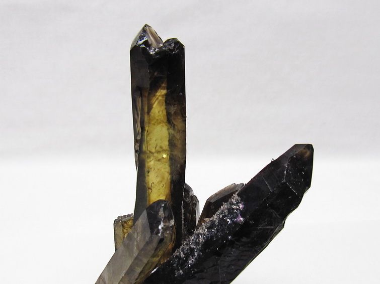 黒水晶 ブラッククォーツ クラスター [t802-6574] 2枚目