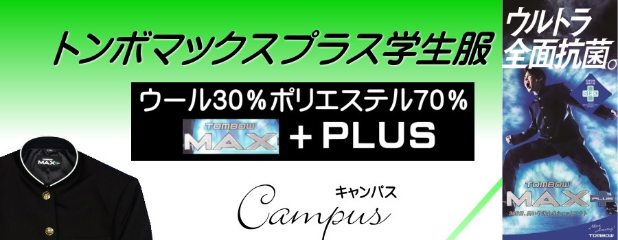 マックスプラス30