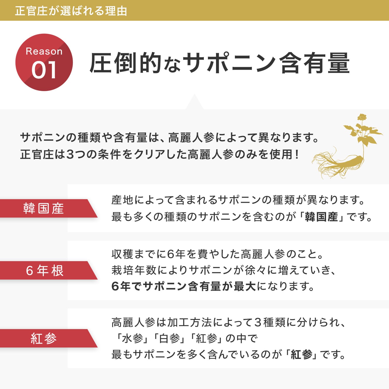 正官庄 日本公式】紅参タブレット 60粒 (4粒×15袋)│正官庄(ジョンガンジャン) 6年根 高麗人参 100% 1粒500mg サプリ 朝鮮人参  紅参(ホンサム) ginseng : bhn-60-001 : 正官庄 公式 Yahoo!店 - 通販 - Yahoo!ショッピング