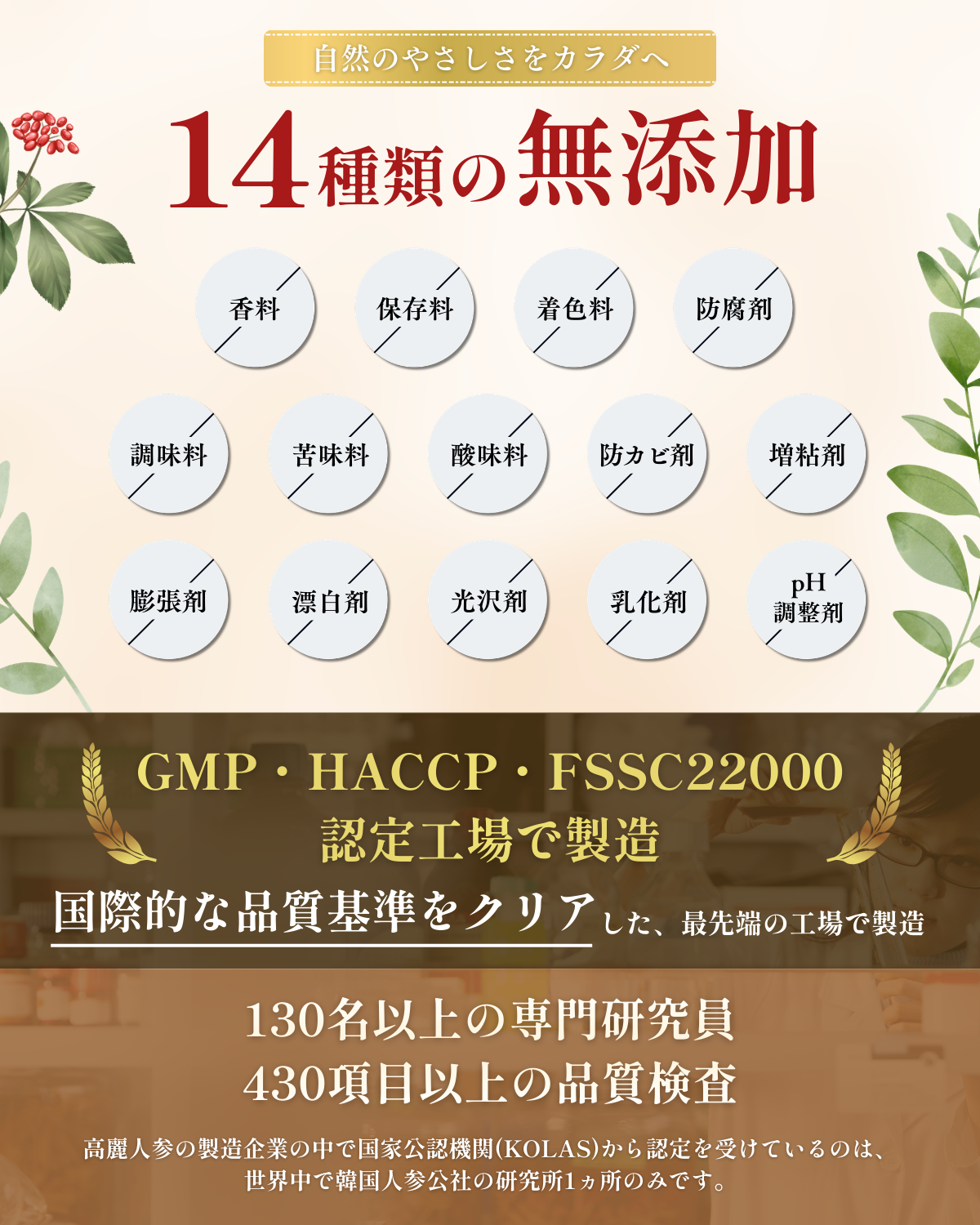 正官庄 【正官庄 日本公式】紅参精エブリタイムV (バリュー)【お試し 