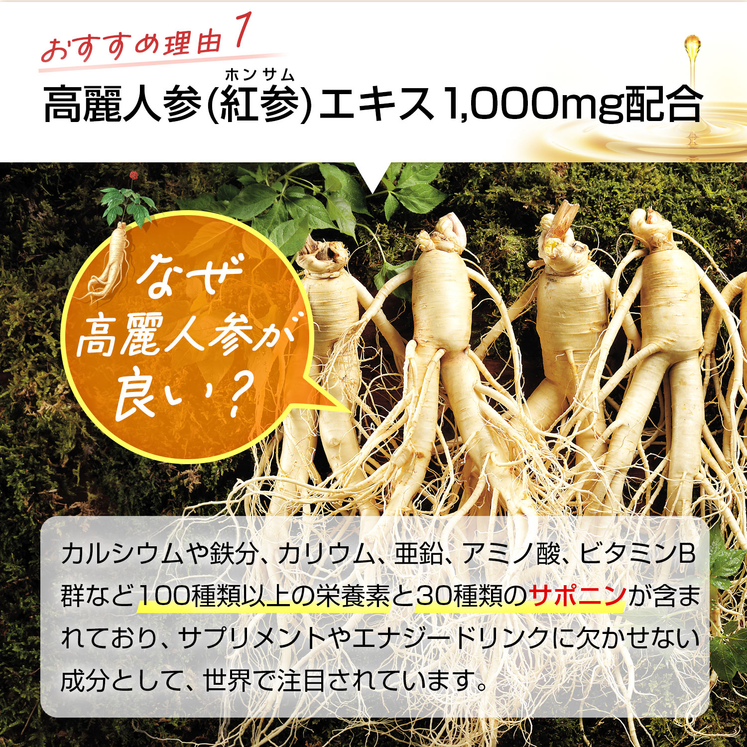 【正官庄 日本公式】紅参精エブリタイムザクロ 20包(10ml×20包)│紅参 高麗人参 朝鮮人参 紅蔘サプリ everytime 健康 ザクロ 爆買 関連画像4