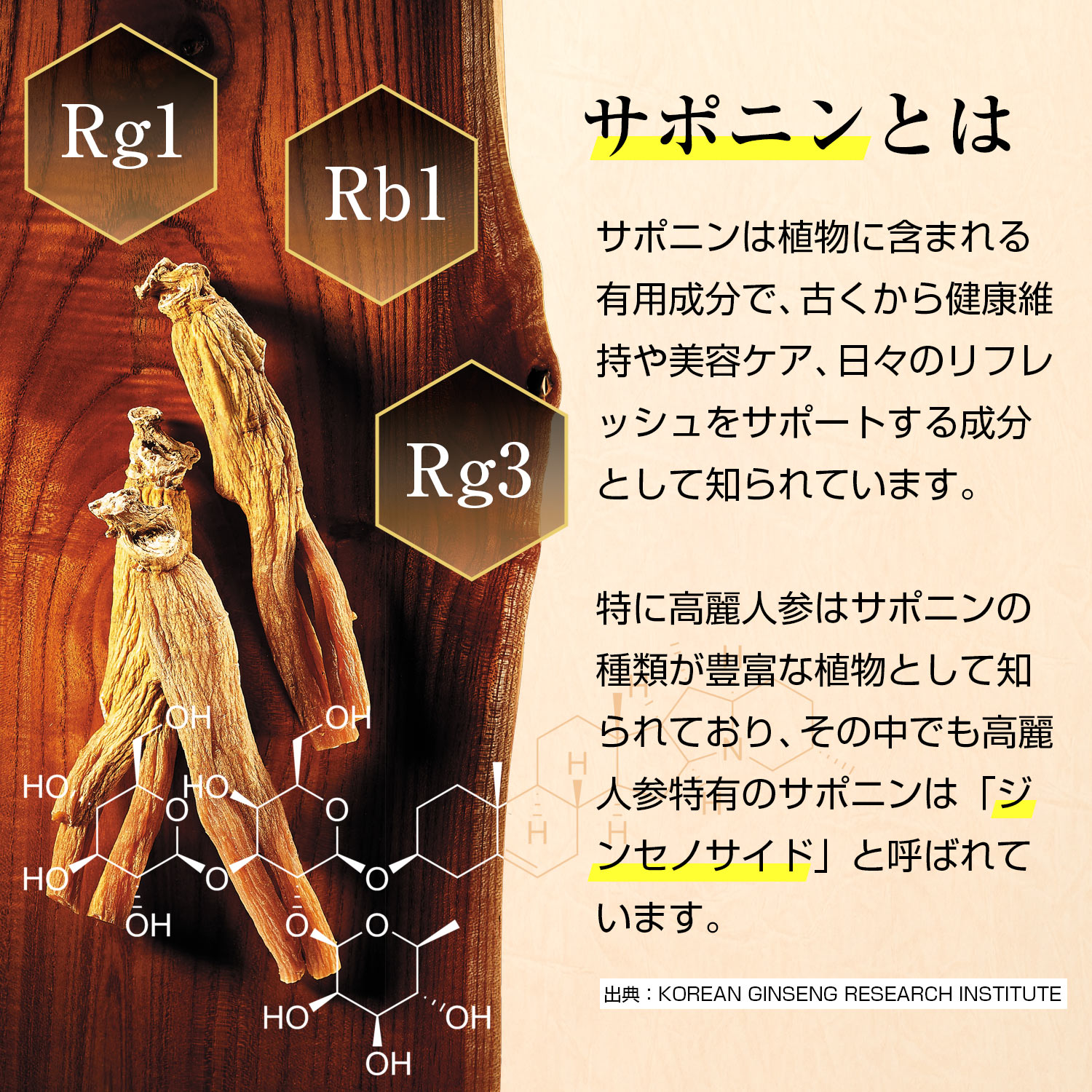 【正官庄 日本公式】紅参精エブリタイムザクロ 20包(10ml×20包)│紅参 高麗人参 朝鮮人参 紅蔘サプリ everytime 健康 ザクロ 爆買 関連画像5