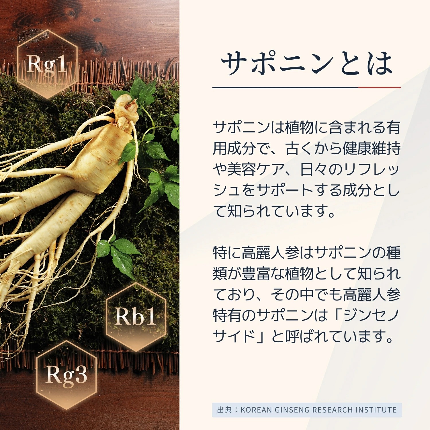 正官庄 【正官庄 日本公式】紅参精エブリタイム 2箱 (10ml×60包