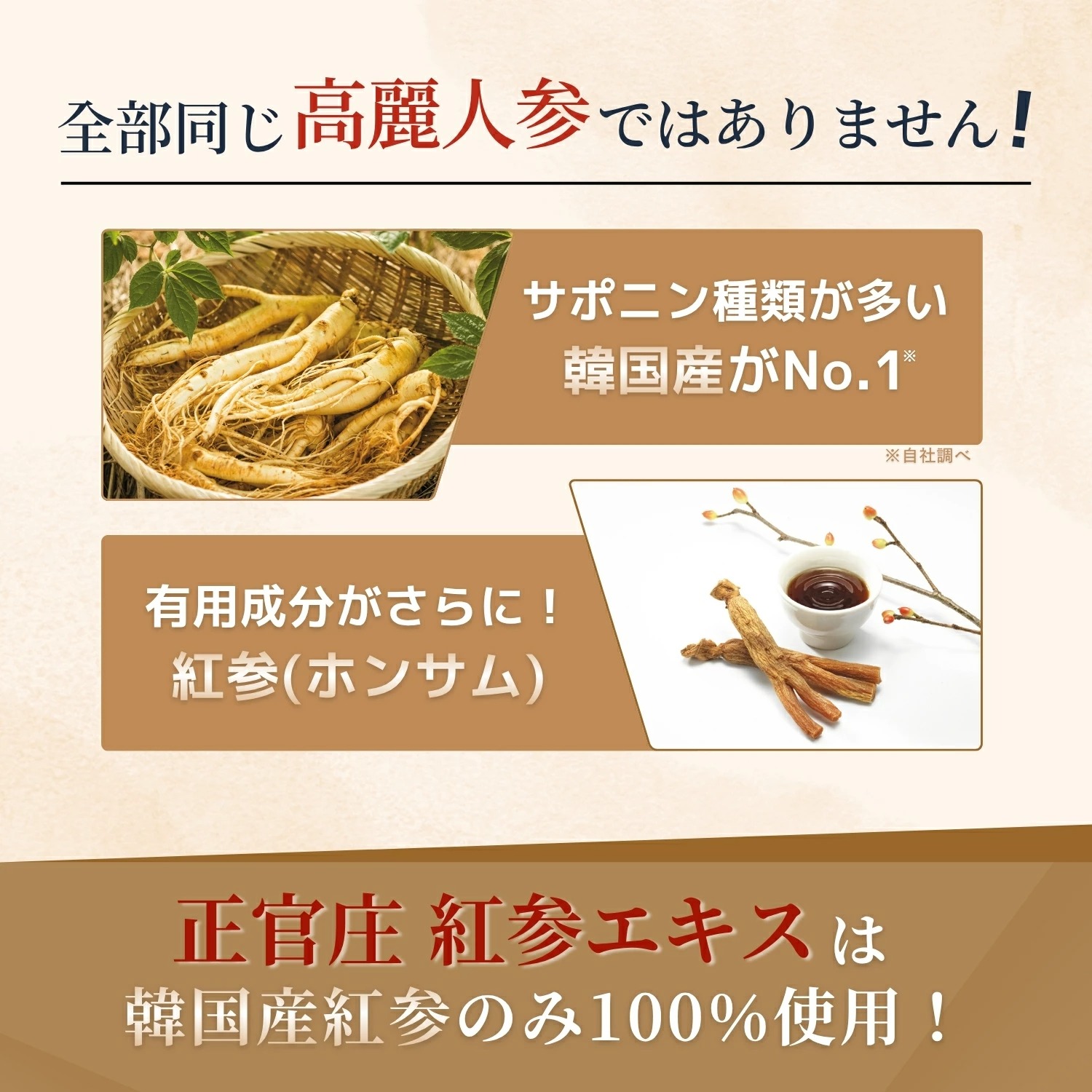 正官庄 【正官庄 日本公式】紅参エキス (30g×5個)│正官庄(ジョンガン