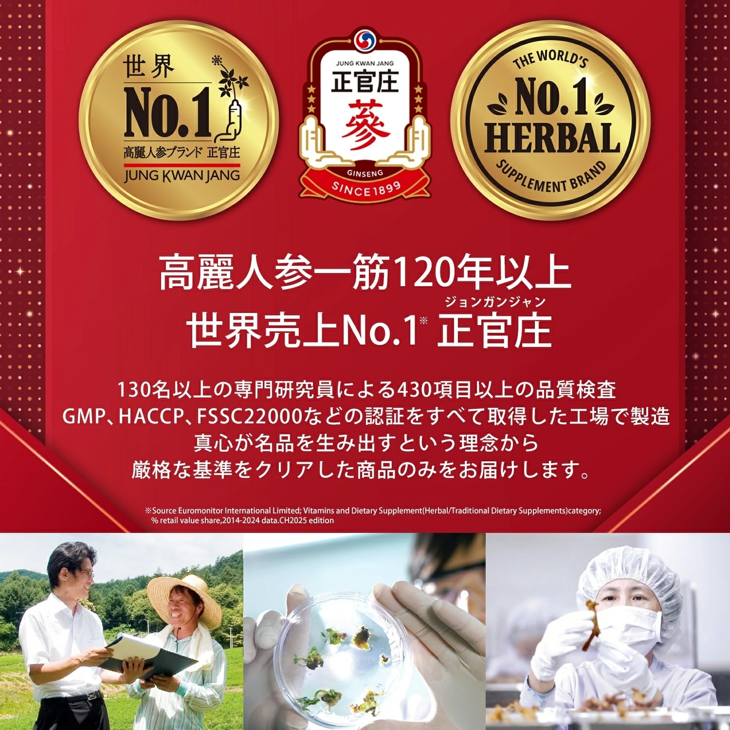 [正官庄]    高麗人参濃縮液6年根エキス100%100g   ２箱  送料込 正官庄 【正官庄 日本公式】紅参エキス (100g×2個)│正官庄(ジョンガン