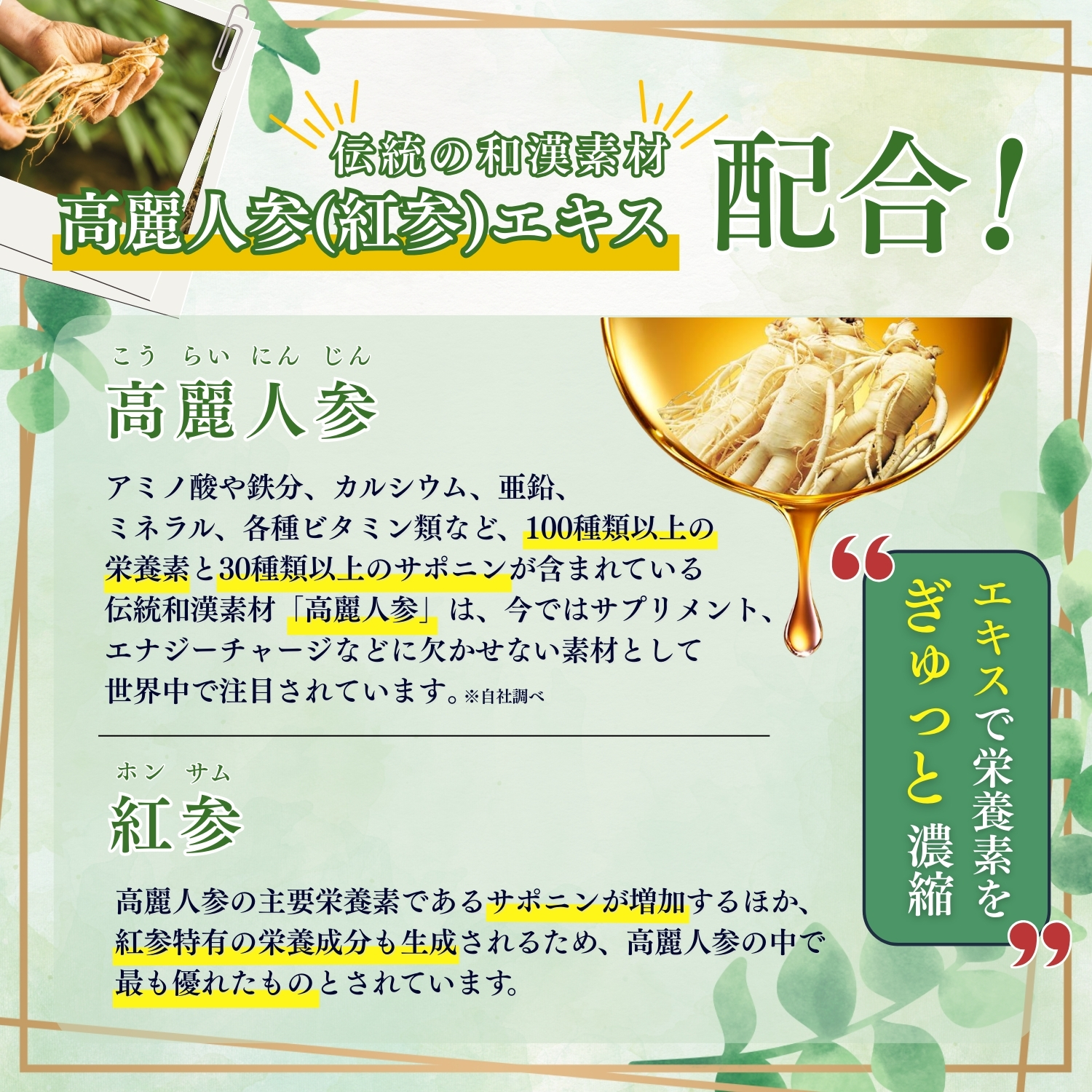 正官庄 【正官庄 日本公式】ザクロ・紅参 (40ml×21袋)│正官庄(ジョン