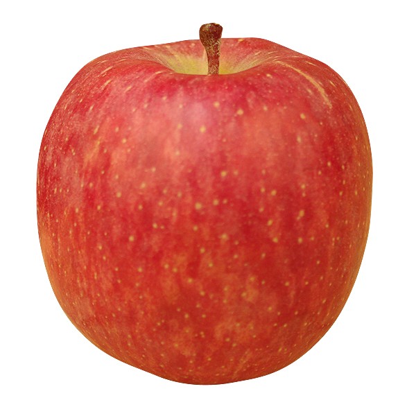 りんご リンゴ おまかせりんご 10kg1箱 ご家庭用 青森産 赤りんごor青りんごからお選びください 旬のりんご 林檎 フルーツ 果物 食品 国華園 S Fs1693 食みらい 国華園 通販 Yahoo ショッピング