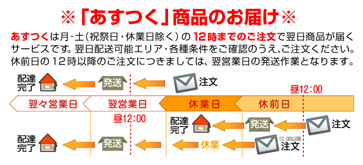 マンゴー 冷凍 完熟 カット済み 3kg（500g×6袋） 無添加 砂糖不使用