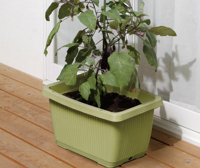 支柱取り付け穴付きで背のある作物もらくらく栽培》アイリスオーヤマ