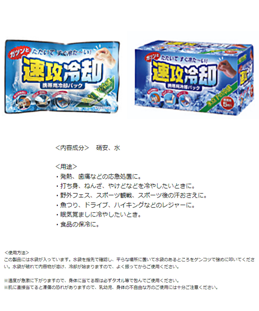 高級品 紀陽除虫菊 速攻冷却携帯用 冷却パック 10個入 保冷ジェル アイシング