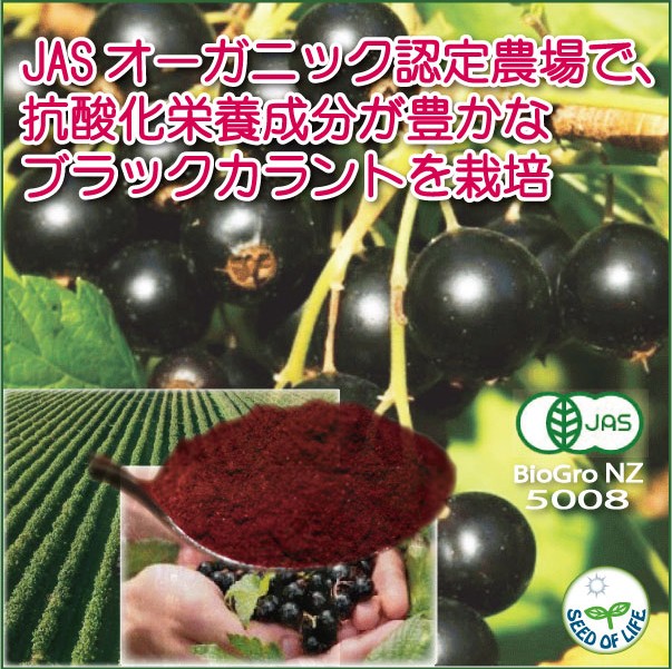 無添加JASオーガニック果実カシスパウダー 150g (50ｇパック×３ケ） 抗酸化ブラックカラントパウダー ニュージーランド産 クリックポスト便 送料無料 : obp-3 : 生活の種 - 通販 - Yahoo!ショッピング