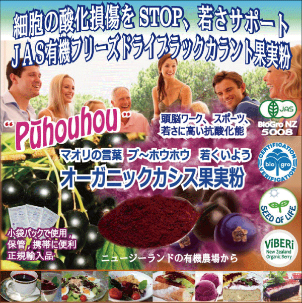 無添加JASオーガニック果実カシスパウダー 150g (50gパック×3ケ） 抗