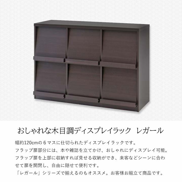 不二貿易(Fuji Boeki) レガール ディプレイラック 120cm幅 6マス RG 不二貿易(Fuji Boeki) レガール ディプレイラック 120cm幅 6マス RG