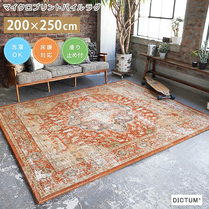 ラグ カーペット マイクロプリントパイルラグ DM-054 [sn]200×250cm 長方形 床暖房 ホットカーペット対応｜seikatsusouzouya