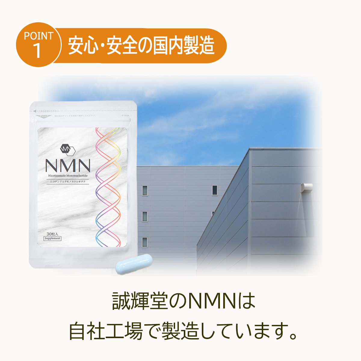 5/11 10時〜 50％OFFセール！】NMN 3750mg 送料無料 高純度NMN 1粒