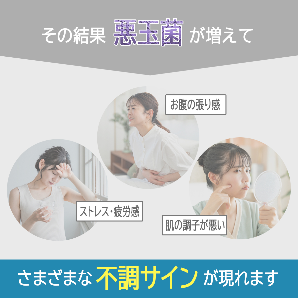 乳酸菌チュアブル】 30粒入 約1ヶ月分 ヨーグルト味 1粒乳酸菌