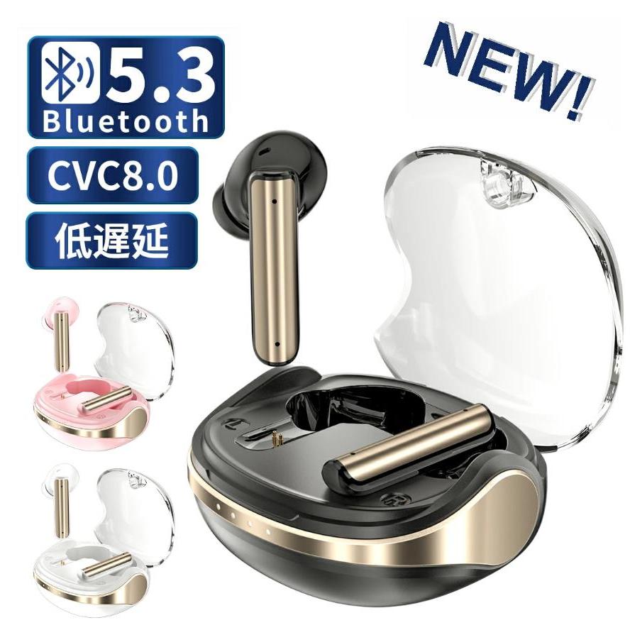 値下げ‼️B-3 Wireless System　美品 WAPIK ワイヤレスイヤホン 高音質HiFi Bluetooth5.3 ワイヤレス
