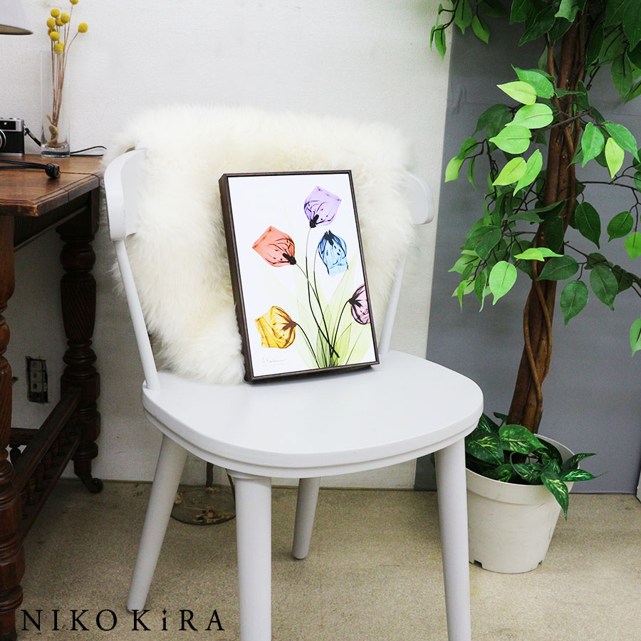 X RAY キャンバスアート サンダーソニア 絵画 インテリア 玄関
