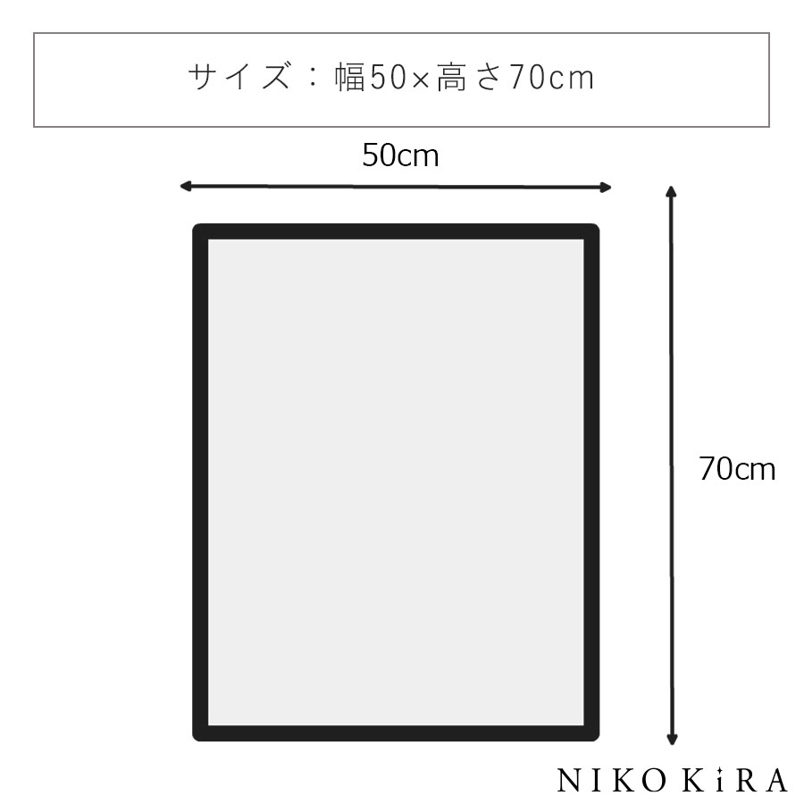 X RAY キャンバスアート ユーカリ 絵画 インテリア 玄関 絵 アート